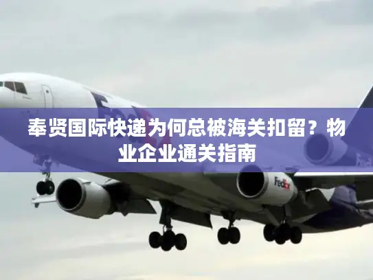 奉贤国际快递为何总被海关扣留？物业企业通关指南