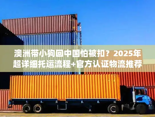 澳洲带小狗回中国怕被扣？2025年超详细托运流程+官方认证物流推荐