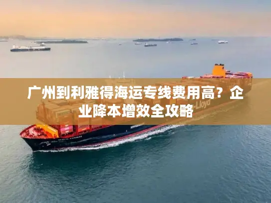 广州到利雅得海运专线费用高？企业降本增效全攻略