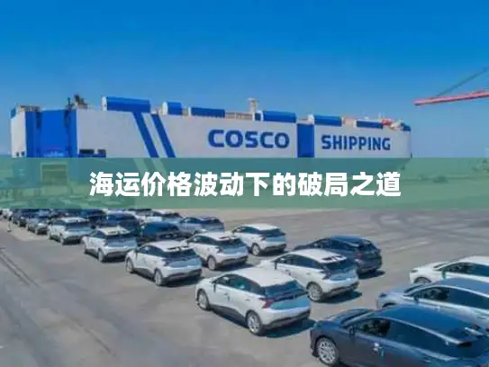 海运价格波动下的破局之道