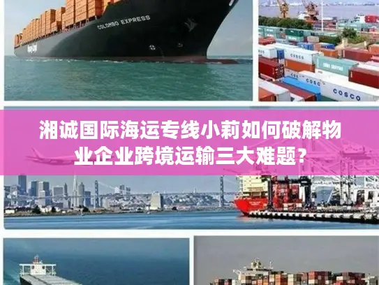湘诚国际海运专线小莉如何破解物业企业跨境运输三大难题？