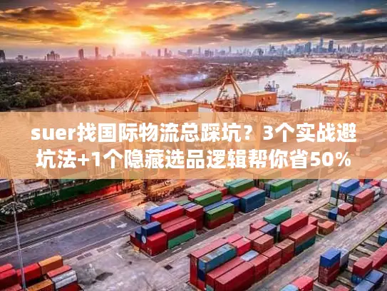 suer找国际物流总踩坑？3个实战避坑法+1个隐藏选品逻辑帮你省50%成本