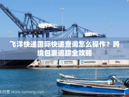 飞洋快递国际快递查询怎么操作？跨境包裹追踪全攻略