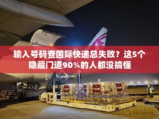 输入号码查国际快递总失败？这5个隐藏门道90%的人都没搞懂