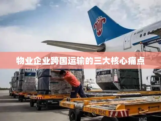 物业企业跨国运输的三大核心痛点