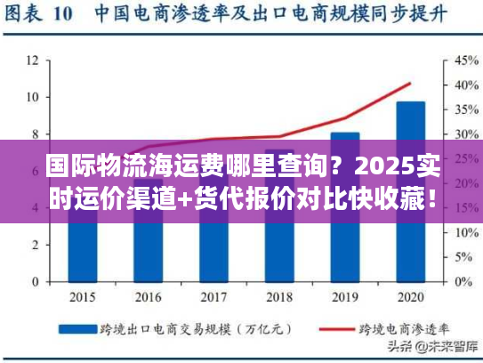国际物流海运费哪里查询？2025实时运价渠道+货代报价对比快收藏！