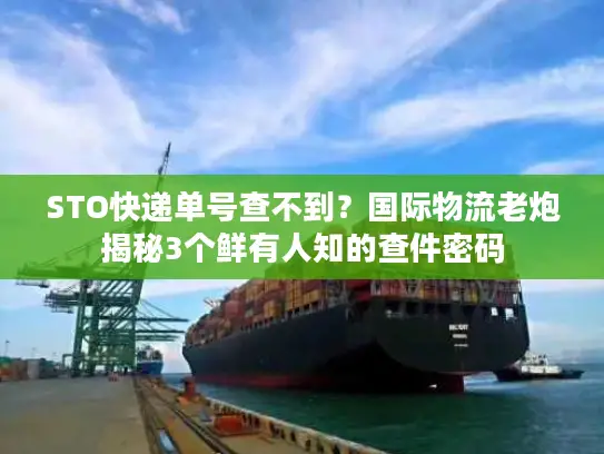 STO快递单号查不到？国际物流老炮揭秘3个鲜有人知的查件密码
