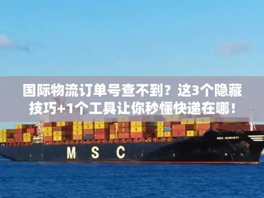 国际物流订单号查不到？这3个隐藏技巧+1个工具让你秒懂快递在哪！
