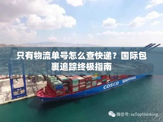 只有物流单号怎么查快递？国际包裹追踪终极指南