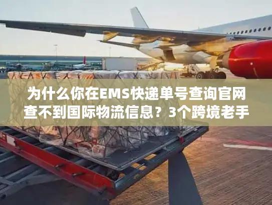 为什么你在EMS快递单号查询官网查不到国际物流信息？3个跨境老手都在用的补救方法
