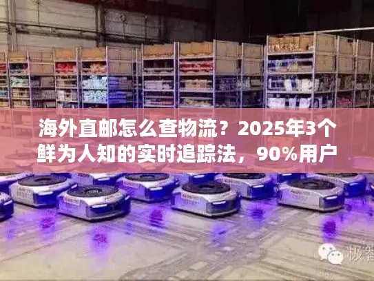 海外直邮怎么查物流？2025年3个鲜为人知的实时追踪法，90%用户都没用过