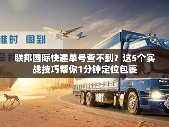 联邦国际快递单号查不到？这5个实战技巧帮你1分钟定位包裹