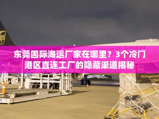 东莞国际海运厂家在哪里？3个冷门港区直连工厂的隐藏渠道揭秘