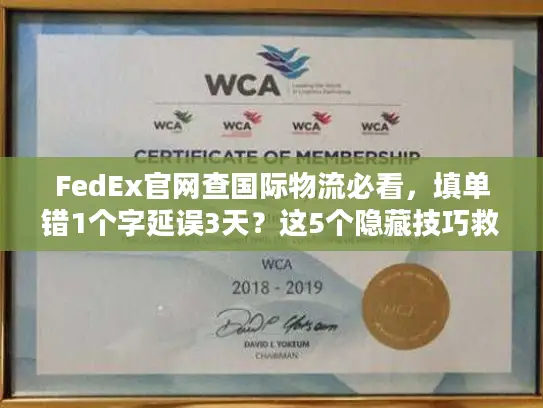 FedEx官网查国际物流必看，填单错1个字延误3天？这5个隐藏技巧救了你