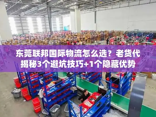 东莞联邦国际物流怎么选？老货代揭秘3个避坑技巧+1个隐藏优势