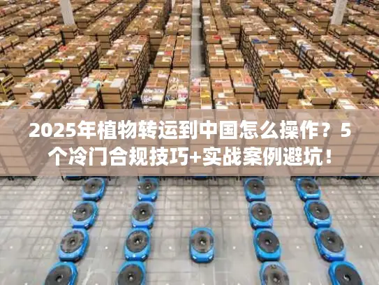 2025年植物转运到中国怎么操作？5个冷门合规技巧+实战案例避坑！