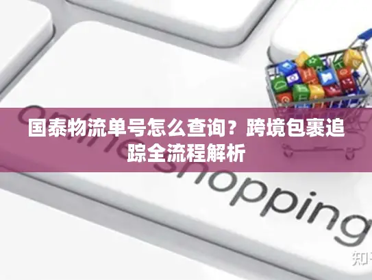 国泰物流单号怎么查询？跨境包裹追踪全流程解析