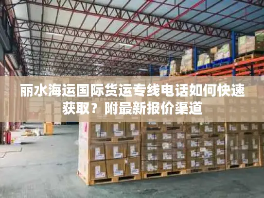 丽水海运国际货运专线电话如何快速获取？附最新报价渠道
