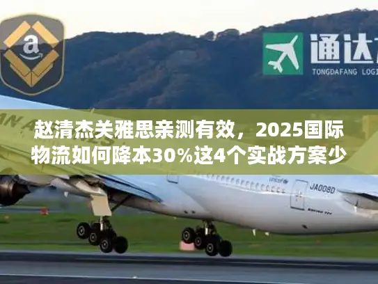 赵清杰关雅思亲测有效，2025国际物流如何降本30%这4个实战方案少有人用