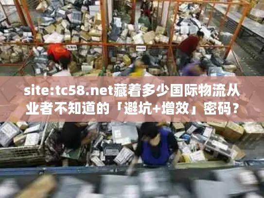 site:tc58.net藏着多少国际物流从业者不知道的「避坑+增效」密码？