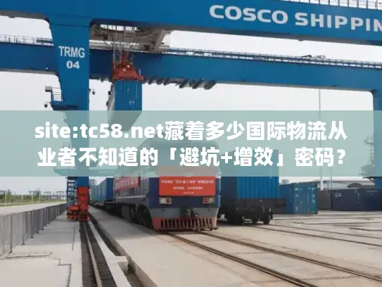 site:tc58.net藏着多少国际物流从业者不知道的「避坑+增效」密码？