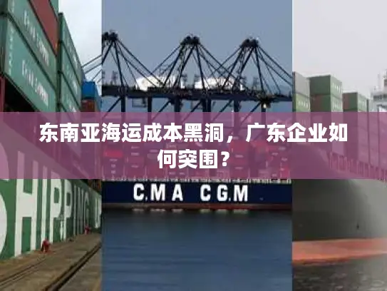 东南亚海运成本黑洞，广东企业如何突围？
