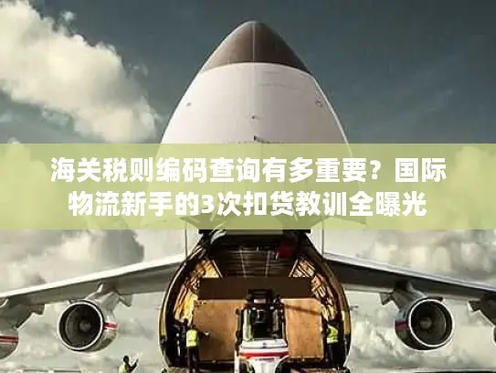 海关税则编码查询有多重要？国际物流新手的3次扣货教训全曝光
