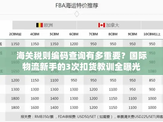 海关税则编码查询有多重要？国际物流新手的3次扣货教训全曝光