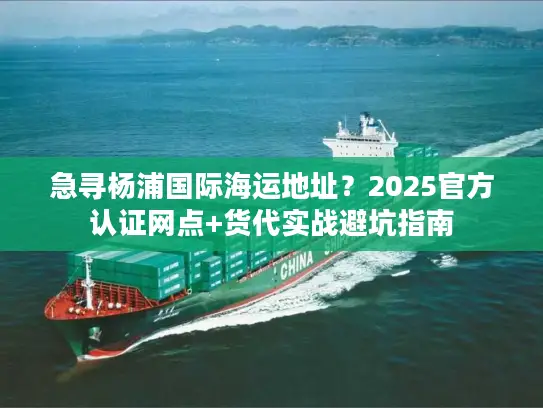 急寻杨浦国际海运地址？2025官方认证网点+货代实战避坑指南