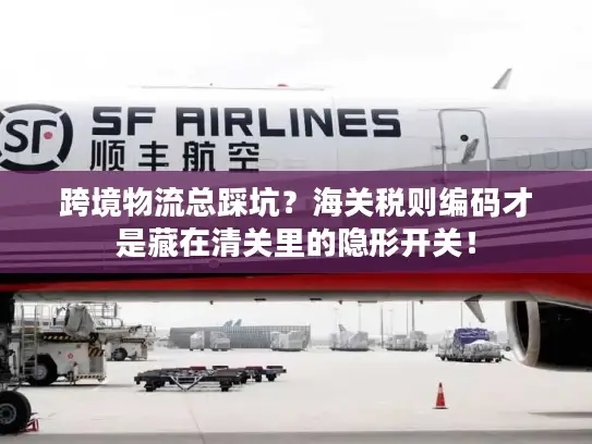 跨境物流总踩坑？海关税则编码才是藏在清关里的隐形开关！