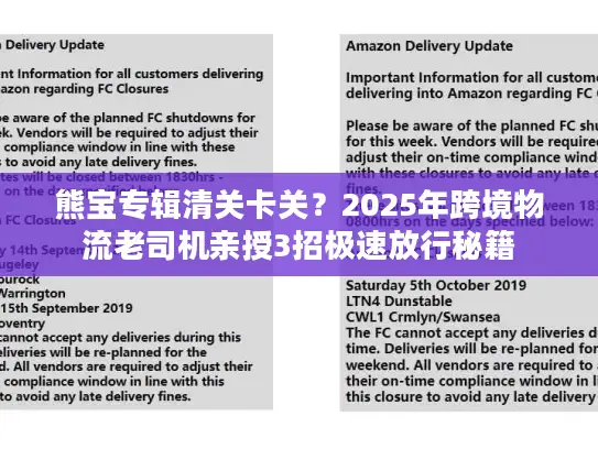 熊宝专辑清关卡关？2025年跨境物流老司机亲授3招极速放行秘籍