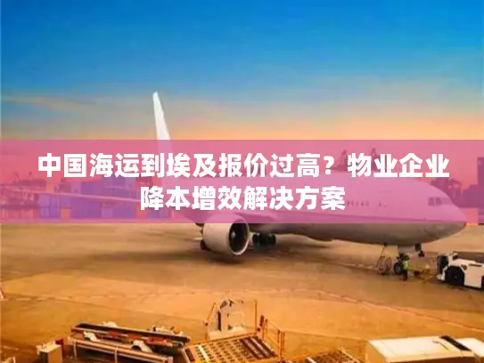 中国海运到埃及报价过高？物业企业降本增效解决方案