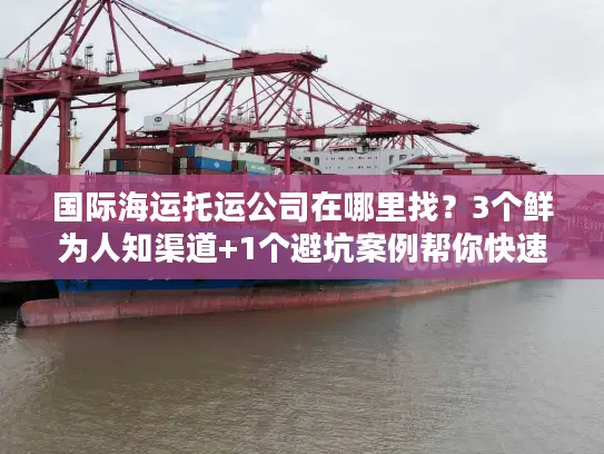 国际海运托运公司在哪里找？3个鲜为人知渠道+1个避坑案例帮你快速锁定