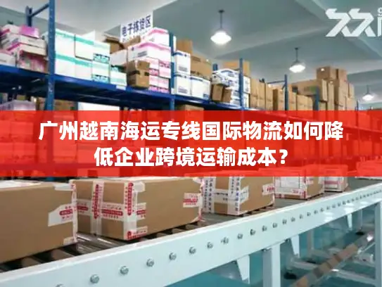 广州越南海运专线国际物流如何降低企业跨境运输成本？