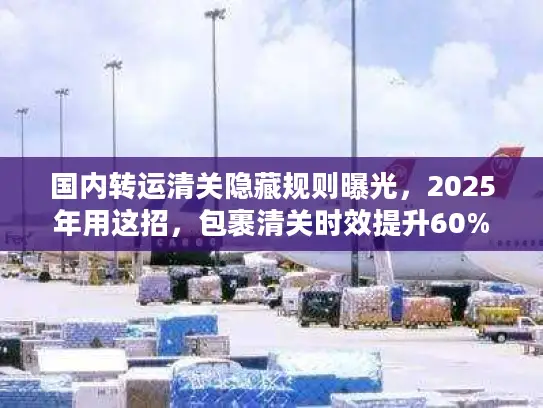 国内转运清关隐藏规则曝光，2025年用这招，包裹清关时效提升60%附真实案例）