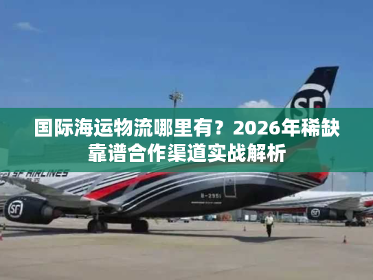 国际海运物流哪里有？2026年稀缺靠谱合作渠道实战解析