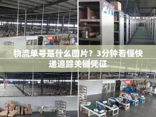 物流单号是什么图片？3分钟看懂快递追踪关键凭证