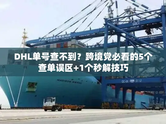 DHL单号查不到？跨境党必看的5个查单误区+1个秒解技巧
