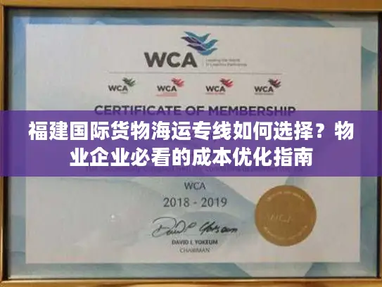 福建国际货物海运专线如何选择？物业企业必看的成本优化指南