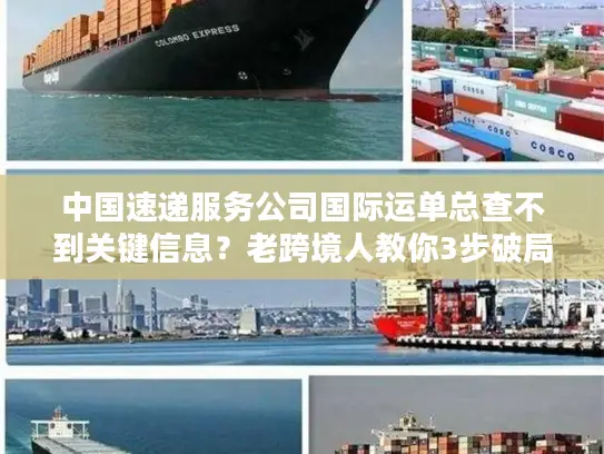中国速递服务公司国际运单总查不到关键信息？老跨境人教你3步破局