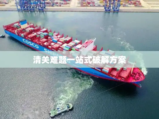清关难题一站式破解方案