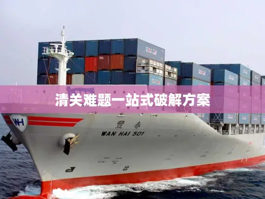清关难题一站式破解方案