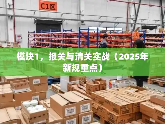 模块1，报关与清关实战（2025年新规重点）