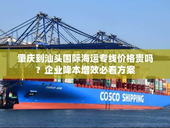 肇庆到汕头国际海运专线价格贵吗？企业降本增效必看方案