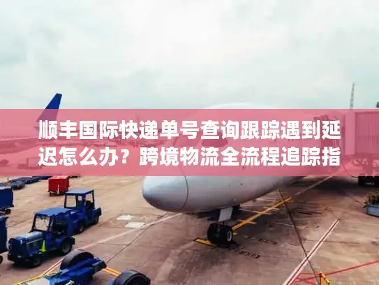顺丰国际快递单号查询跟踪遇到延迟怎么办？跨境物流全流程追踪指南