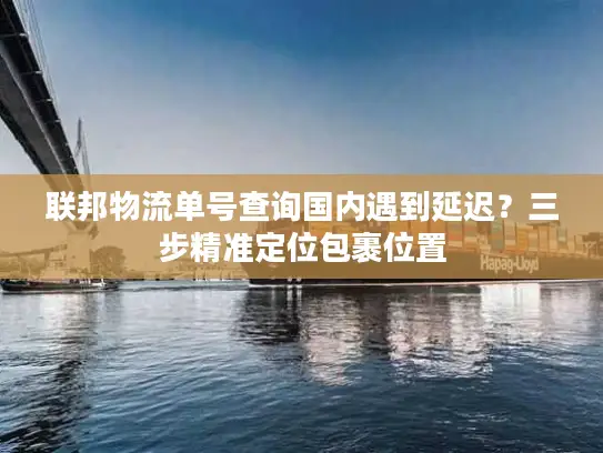 联邦物流单号查询国内遇到延迟？三步精准定位包裹位置