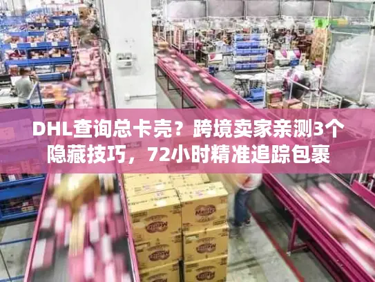 DHL查询总卡壳？跨境卖家亲测3个隐藏技巧，72小时精准追踪包裹