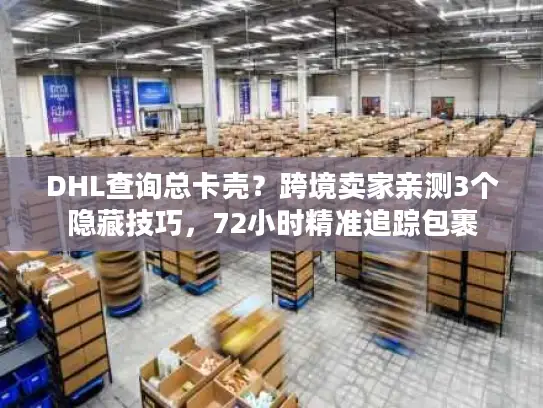 DHL查询总卡壳？跨境卖家亲测3个隐藏技巧，72小时精准追踪包裹