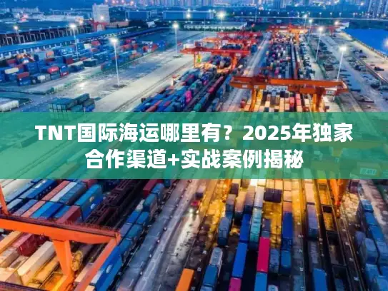 TNT国际海运哪里有？2025年独家合作渠道+实战案例揭秘