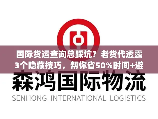 国际货运查询总踩坑？老货代透露3个隐藏技巧，帮你省50%时间+避免丢件